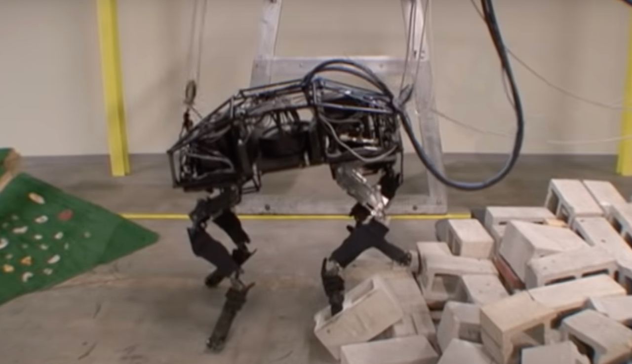 Знаете ли вы всех роботов Boston Dynamics «в лицо»? | РБК Тренды