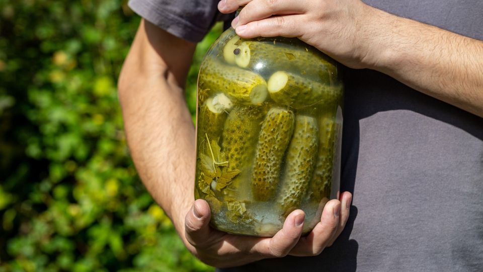 Никогда не добавляйте этот продукт в огурцы: рассол в банке станет мутной жижей Никогда не добавляйте этот продукт в огурцы: рассол в банке станет мутной жижей