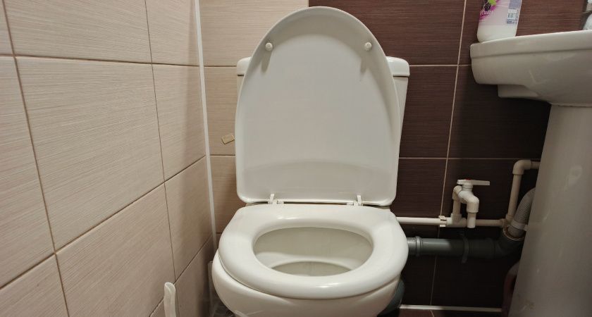 Рюмку в унитаз на ночь — к утру выгребная яма чиста: выливаем раз в месяц — и можно забыть об откачке на 15 лет