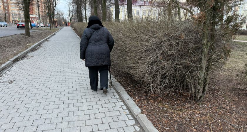 До 10 мая пенсионеры, достигшие 80 лет, начнут получать разовую выплату в 15 000 рублей