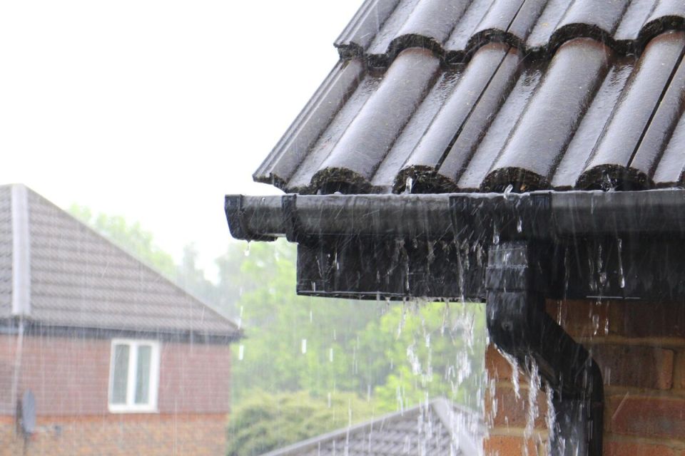  drainage:         