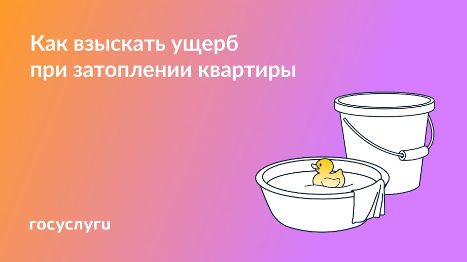  ,     :  