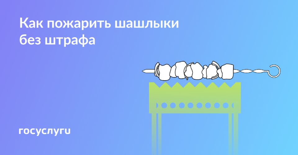 Безопасные вечеринки на природе: как избежать штрафов и пожаров