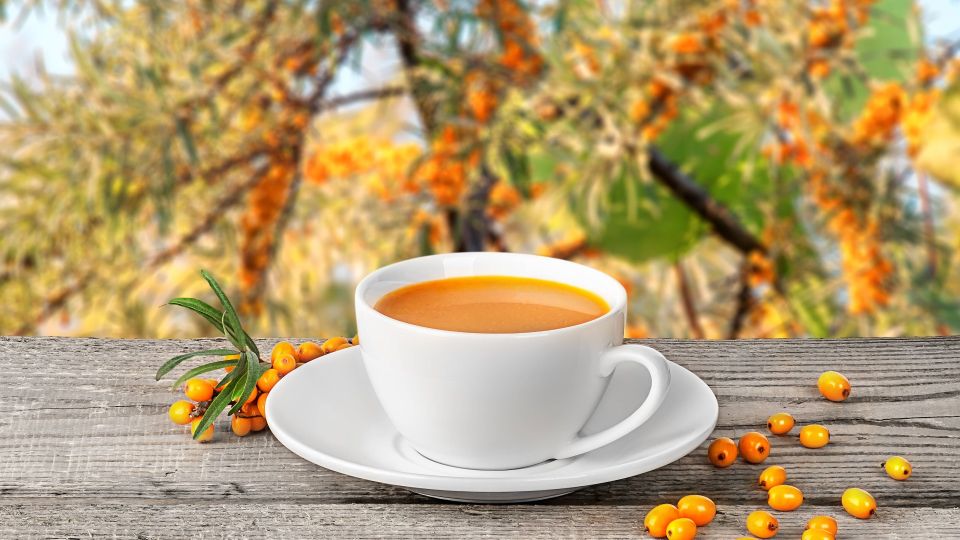 Согреет в холод и мороз: готовим витаминный чай из облепихи