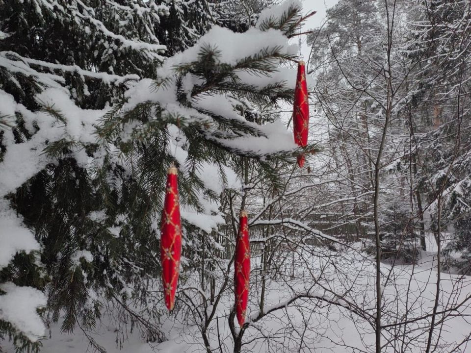 Зимний сюрприз: как отключение электричества разрушило праздничные планы