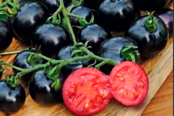 Томат «Всем на зависть»: секрет успешного урожая и неповторимого вкуса