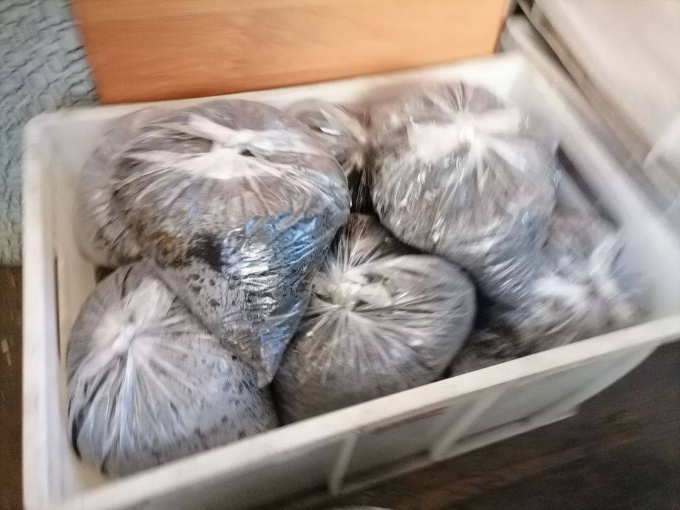 Готовь грунт для рассады заранее