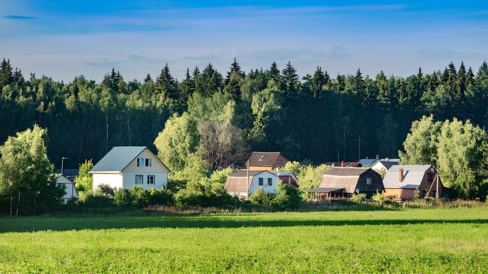 Как избежать уголовной ответственности за несанкционированный спил деревьев на даче