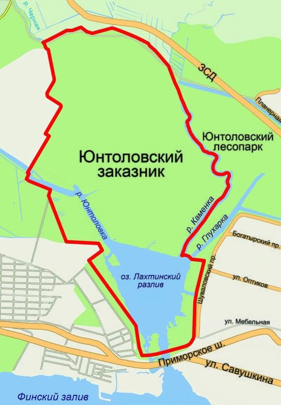 Природный оазис Санкт-Петербурга: Юнтоловский заказник в центре города