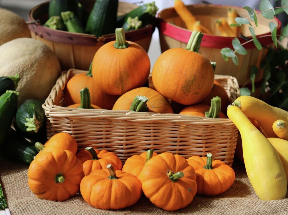 Тыква: кладезь полезных веществ и низкокалорийный суперфуд