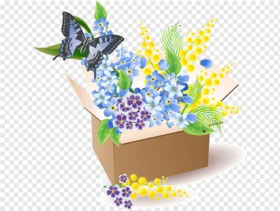 Получили суккуленты в посылке