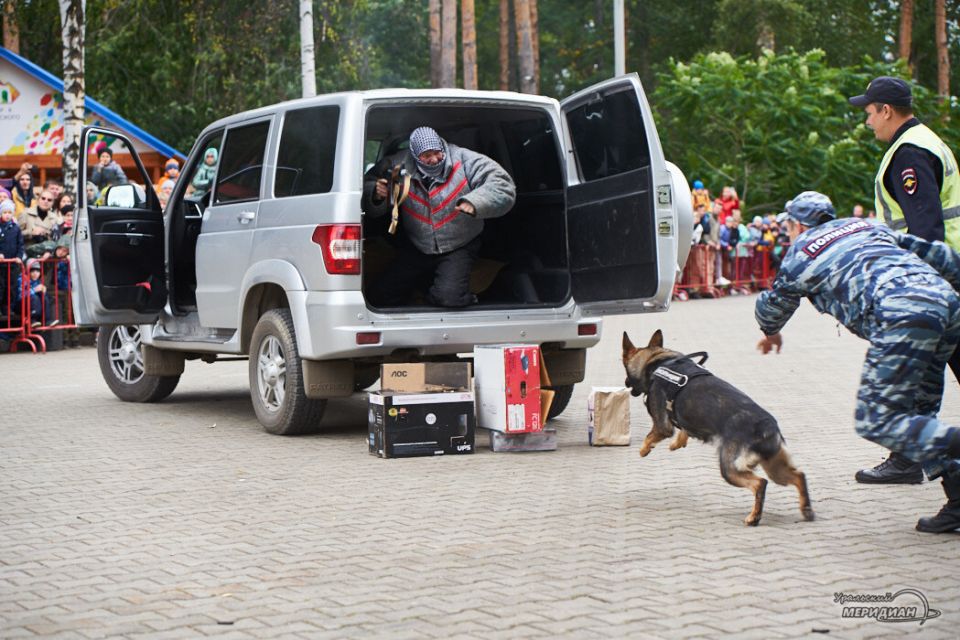 В Госдуме обсудили строгие меры против вовлечения молодежи в терроризм