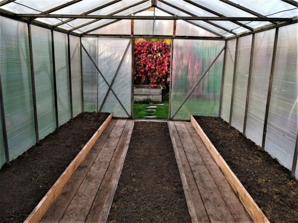 Как правильно подготовить теплицу к сезону: секреты и советы