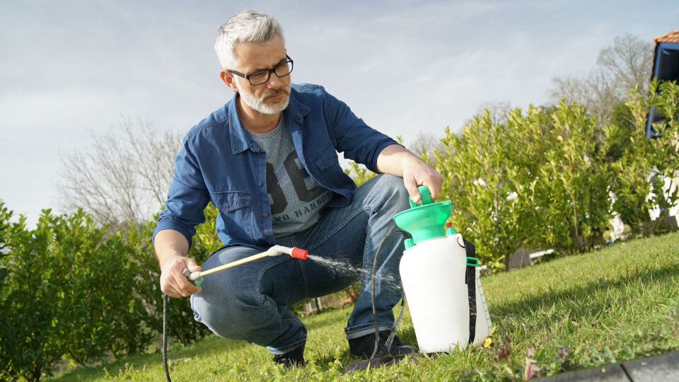 Раундап: эффективное оружие против сорняков в вашем саду