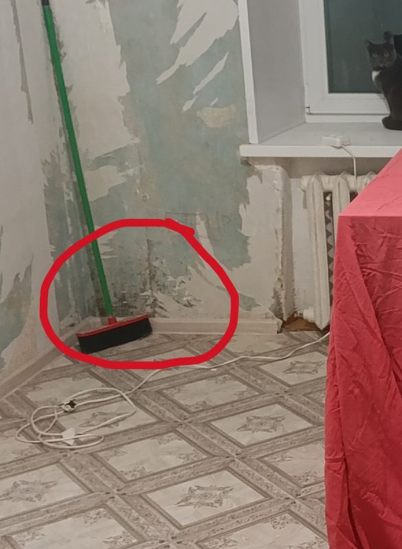 Проблема плесени в детской комнате