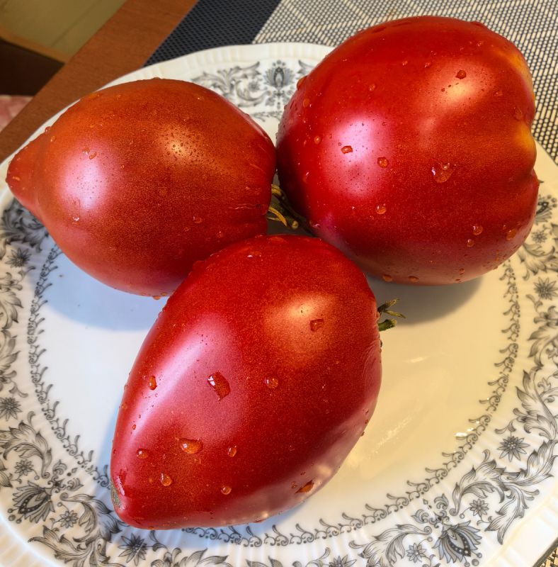 Томатный рай: уникальные сорта на 2025 год