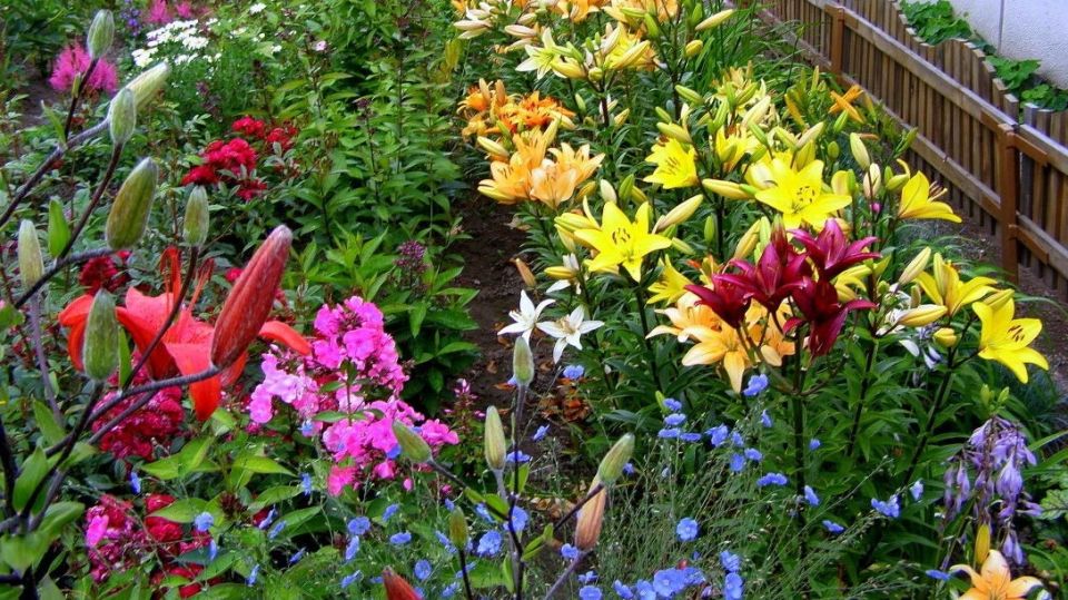 ������ ������������ ��� ���������� ����: ��� ������� ������� ��� ������ �����