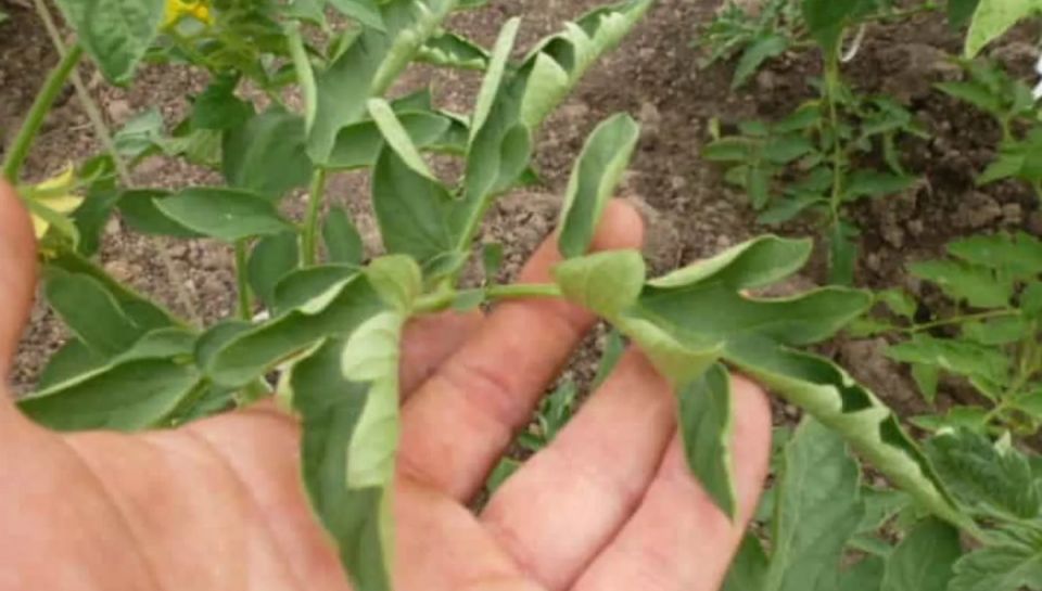 ���������� ������: ������� �������� � ����