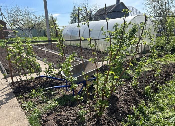 ������� ��������� ������: ��� ����������� ������ � �������