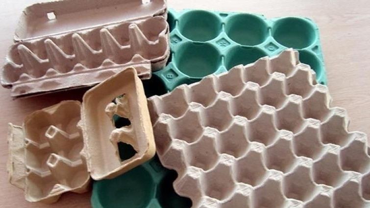 ��� ������ ����� ������� ����������� ����������: �������� ���� ��� ����