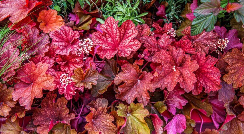 �������: ��� ������� ������������ ������� � ������������ ��������