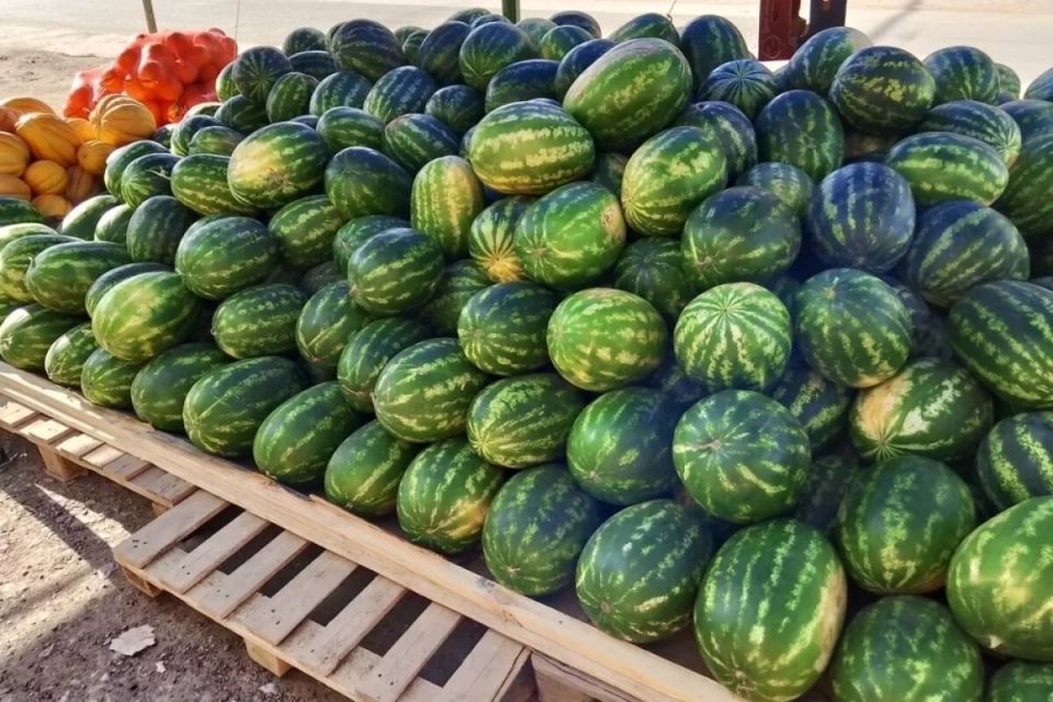 ��� ������� � ���� ������ � ����: ������ �� ���������