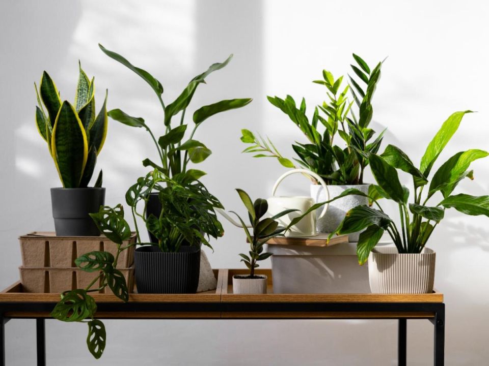 ������� ��������� �������� �� ��������� ������