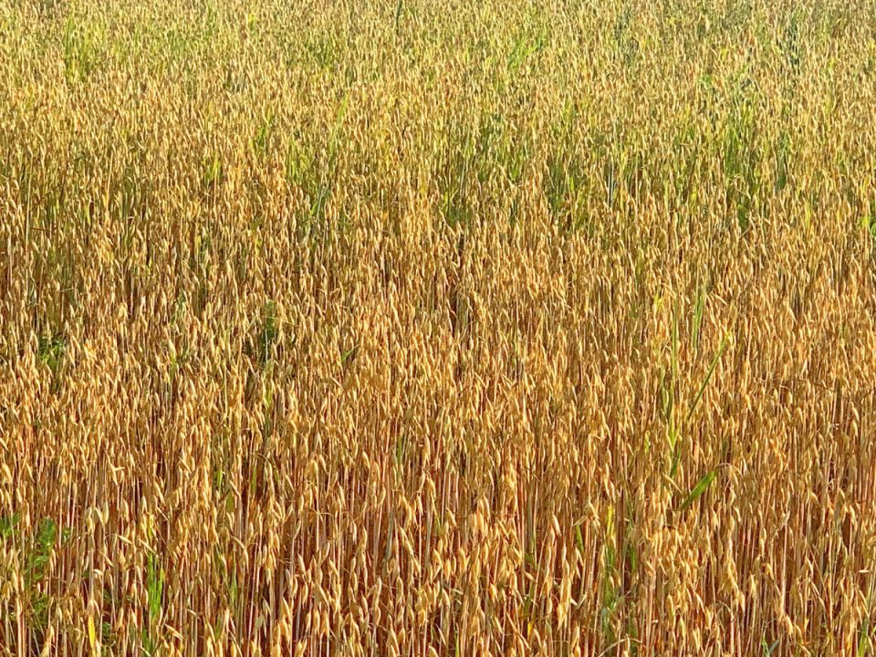 ���: �� ������� �������� �� ����������� ����