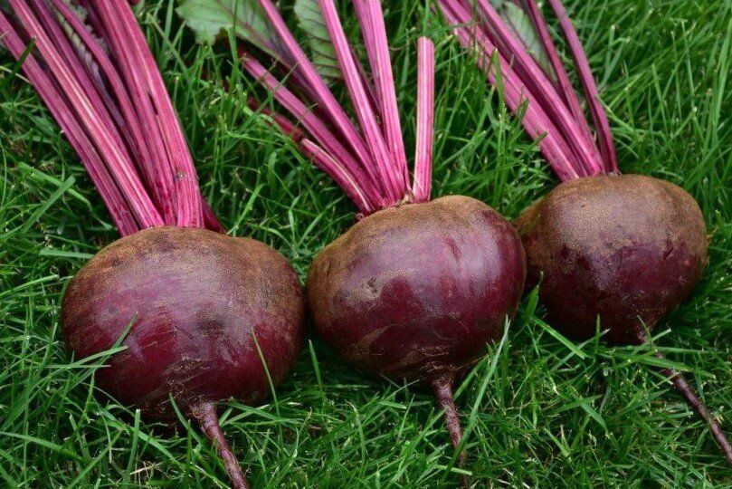 ���������� ��������: ����� ����� ������ �������� �������� ��� �������� � ���������