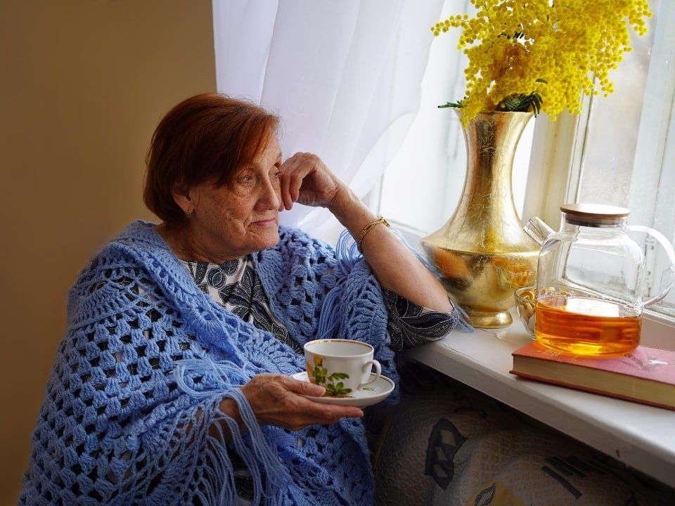 ���������� ����� 2026: ��� ������ ������������ ����������� �������