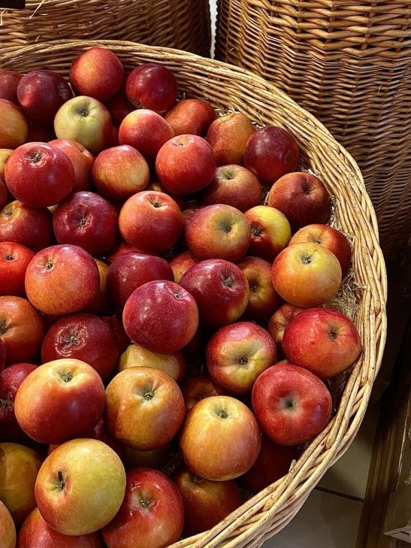 ������: �������, ����� � ������� �������, ������� ����� ������ ��� ����