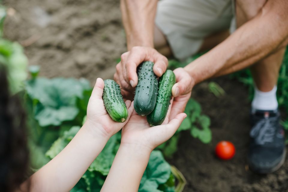 ��� �������� ������ ������� � ������� ��������� �����: ������� �� ������� ���������