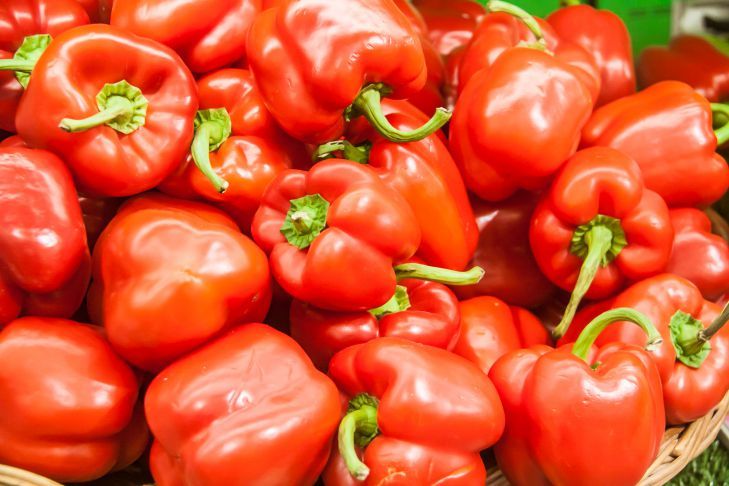 ��� ������� ������� �����, ����� �������� ��������� ������: ������ ����� ������