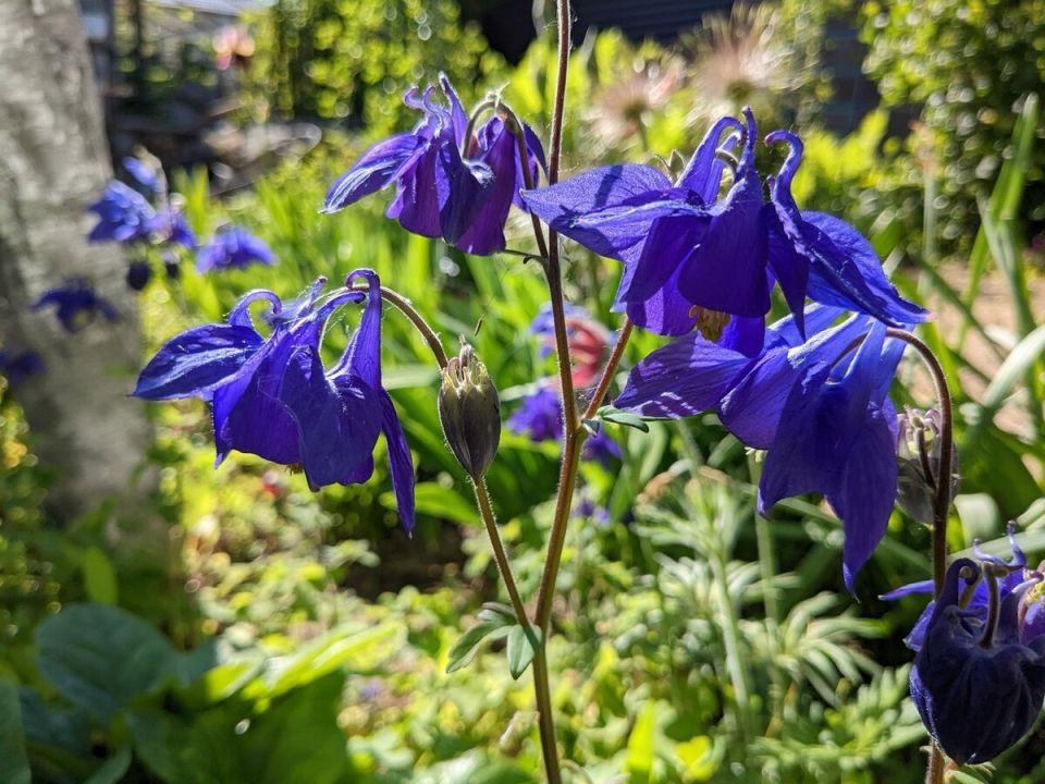 ����� ������ � ��� ����������� ��������: ��� ������� � ����� ���