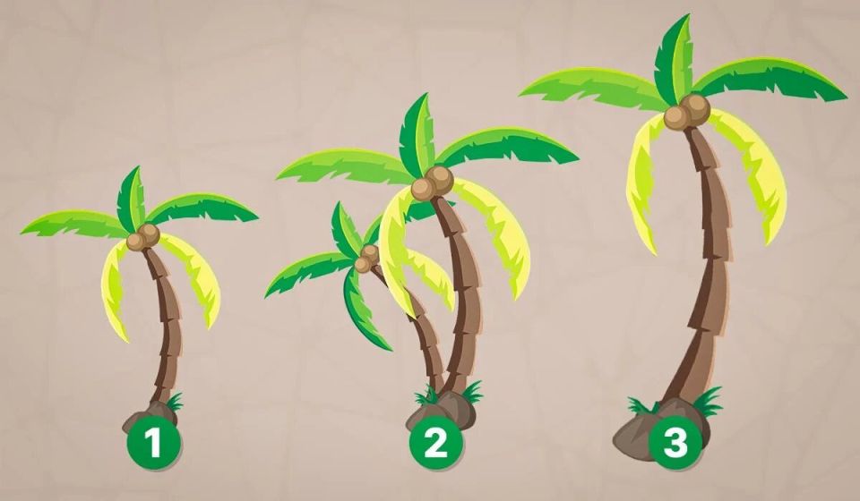 ��� ��������� �����������: ������� ����������� ����������