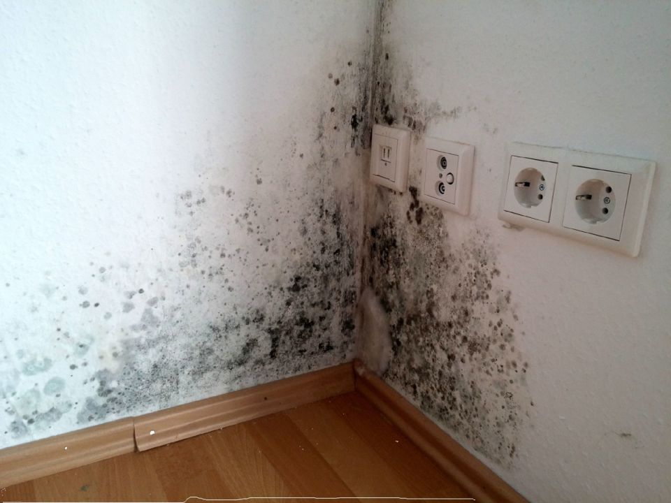 ������� � ����: ��� ������������� � ���������� � �������