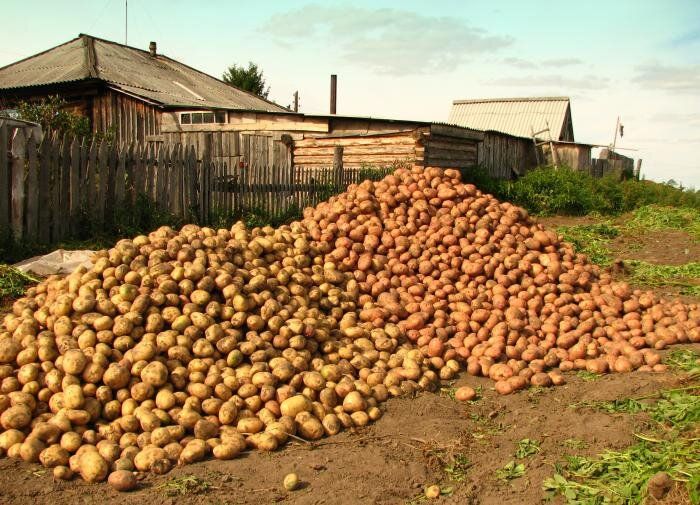 ��� ����� ����� � ��������: ����� ��������� ���������