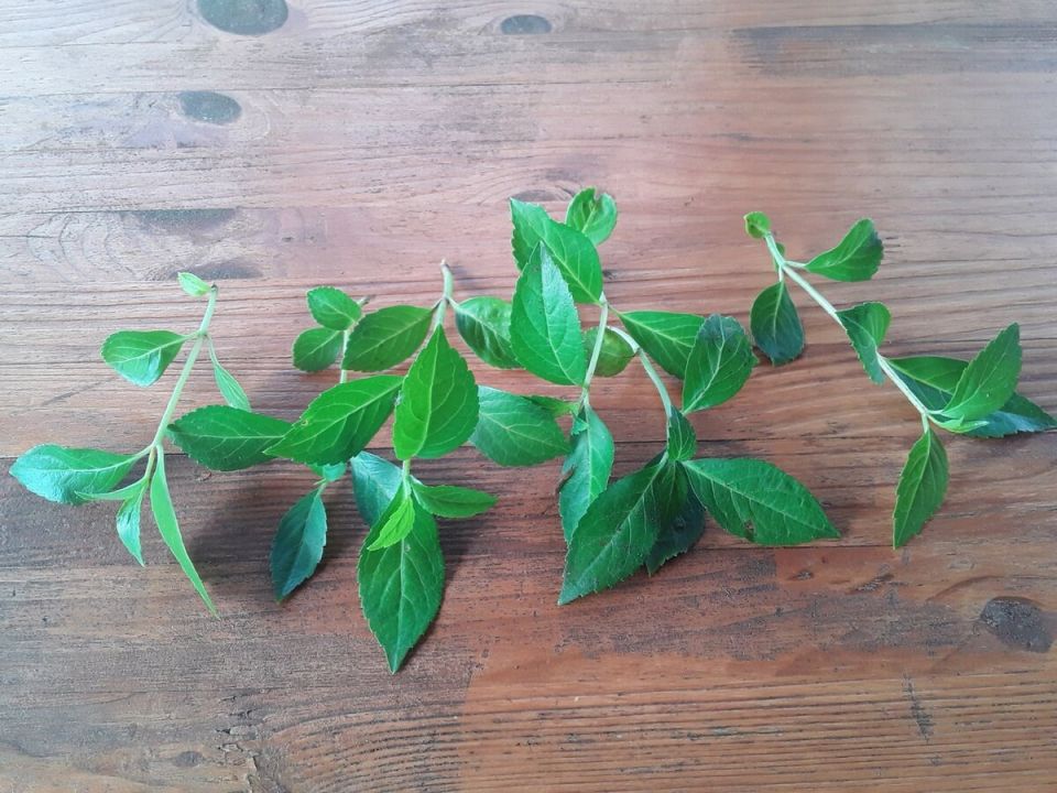 ��� ������� ��������� "��������� �������" �������� ������ � ��������� ��������