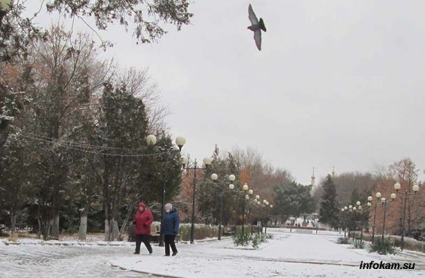 Пенсионные баллы в 2026 году: что нужно знать и сколько это стоит