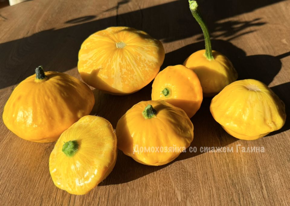 ������������ ���� ������������ ���������� ��� ������� �����