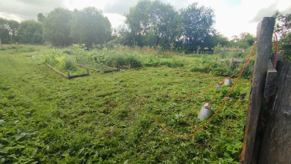 ��� ������������� � ������ ���������� ������: ������ � �����������