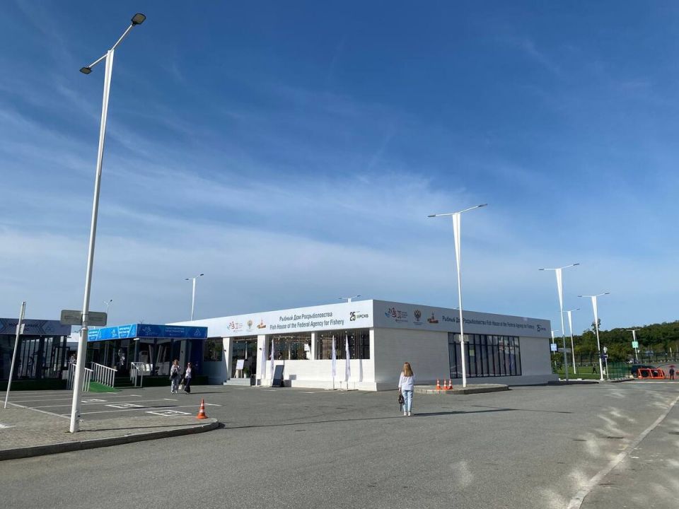 Как вернуть сигу его гастрономическую славу