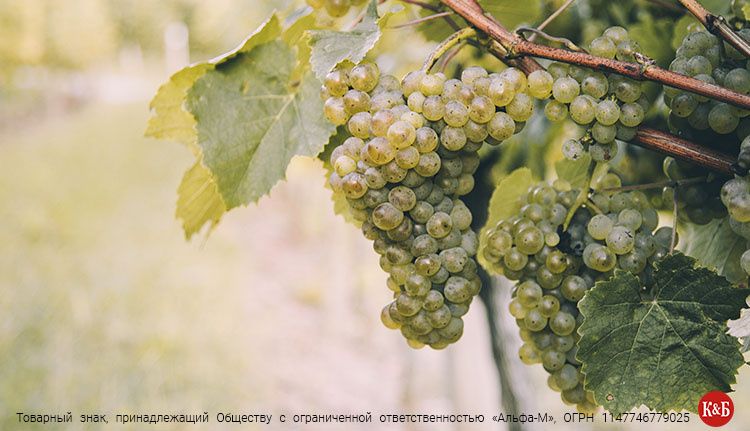 ����������� ���� ��� ��������� �������� � ����� �������