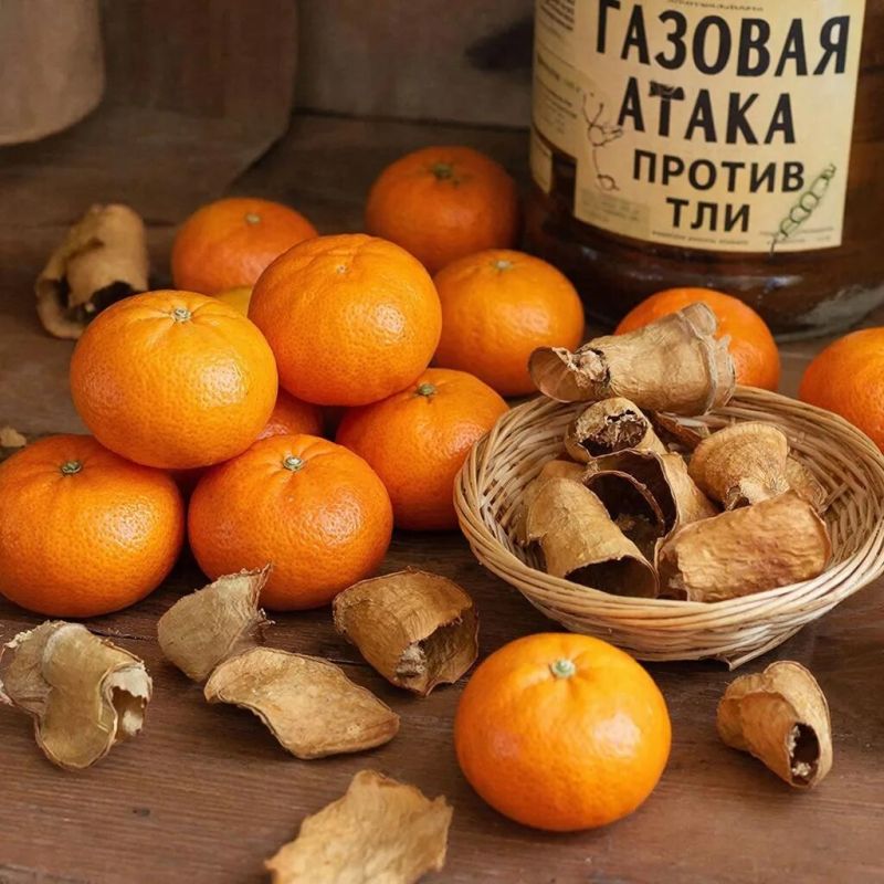 ��� ������������ ����� ������������ � ��������� �������� ������ ����