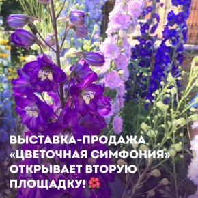    21     -  