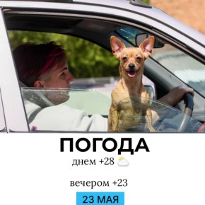   . @gornovosti
