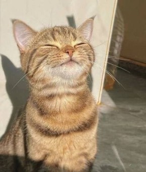       !
