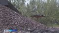 Красноярск готовится к купальному сезону
