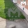 Неизвестные травят собак в Ачинске