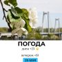 Погода на сегодня. @gornovosti
